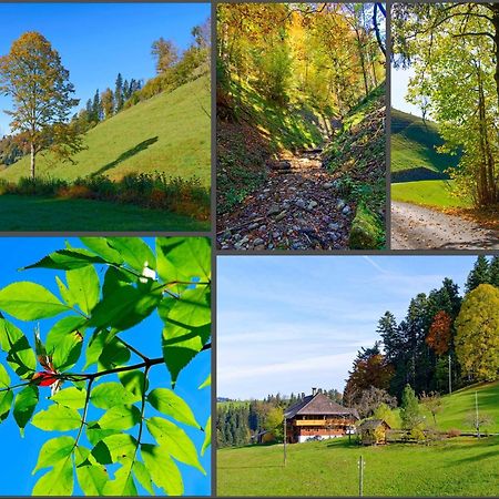 Apartamento Emmental Ferien Langnau Exterior foto