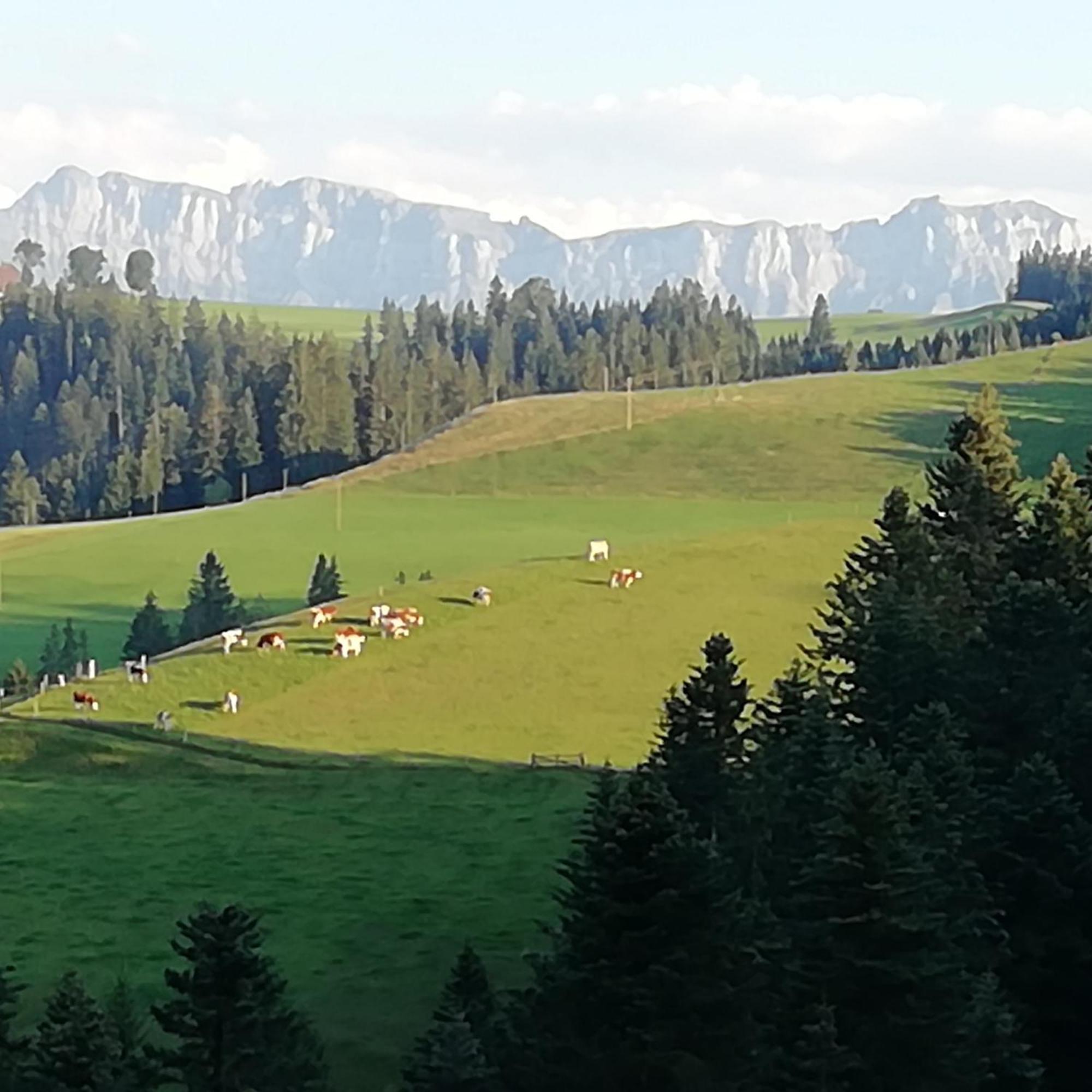 Apartamento Emmental Ferien Langnau Exterior foto