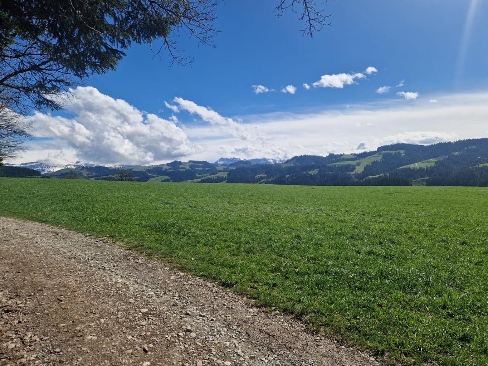 Apartamento Emmental Ferien Langnau Exterior foto